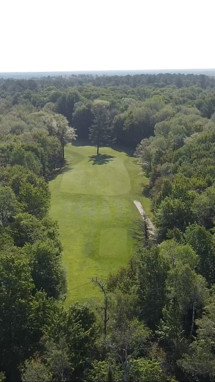 The closing hole tee shot for #LSGClubChampionship this weekend. Many club championships have been won or lost with this tee shot 🌲🌲