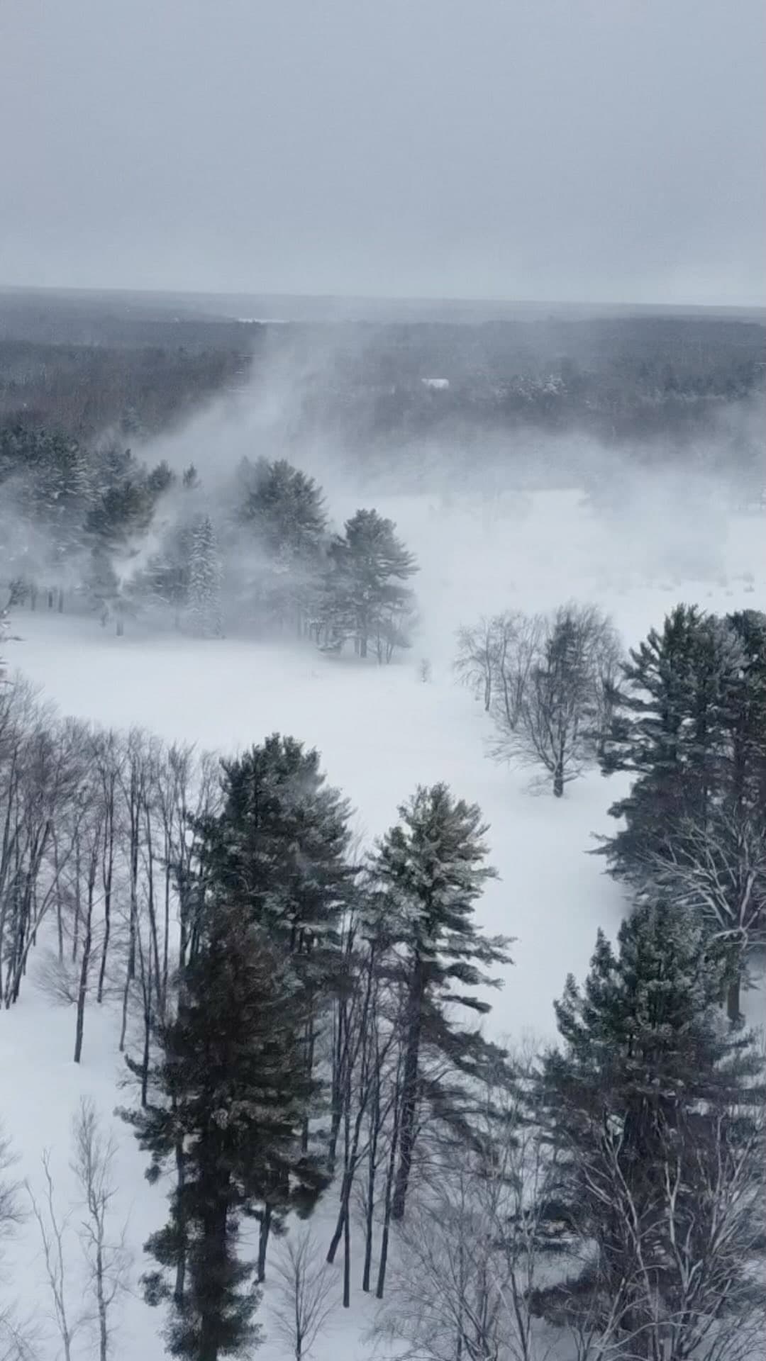 120 days until spring!