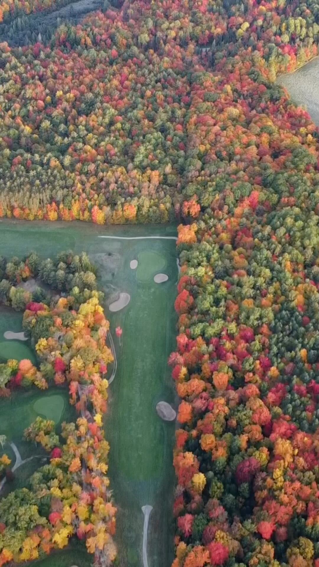 Fall golf on 4 west #PlayTheLake