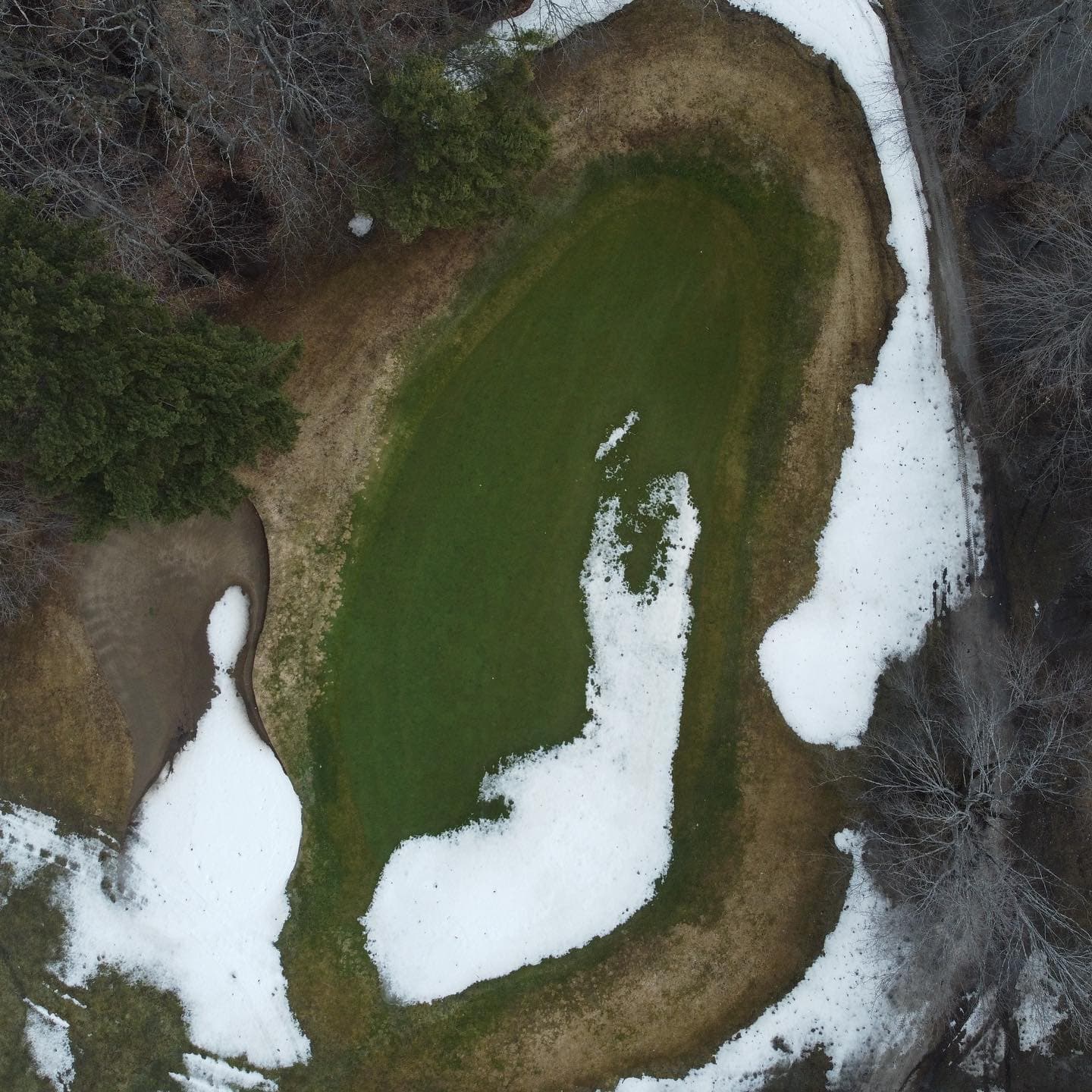 The greens are looking good after a long winter 🔥🔥