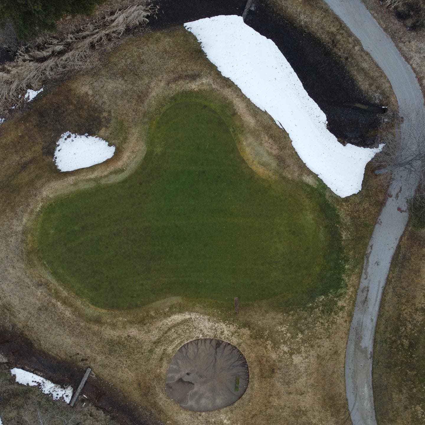 The greens are looking good after a long winter 🔥🔥