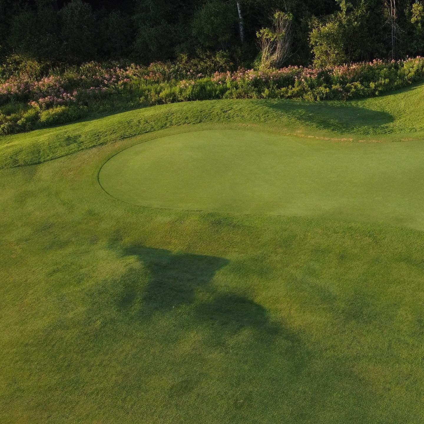 Happy @rbccanadianopen week 🇨🇦

The back nine at this years host @oakdalegolfandcountryclub was designed by Robbie Robinson. 

Robinson designed the south course here, as well as 2 and 5 north. The new holes on the north opened in 1968, and the south course opened in 1972. 

Robinson was inducted into the Canadian Golf Hall of Fame in 2002:

“Clinton E. Robinson, better known as Robbie, loved the game of golf and spent his life bringing it to the masses.  A golf course architect who apprenticed under the legendary Stanley Thompson, Robinson designed or remodelled more than 100 courses.  Perhaps his single most significant contribution to the game was in the study of turfgrass and the dissemination of this information through the establishment of the Canadian Turfgrass shows and as the Green Section director for the RCGA in the 1950’s.” 

#LSGHistory #PlayTheLake #GolfArchitecture