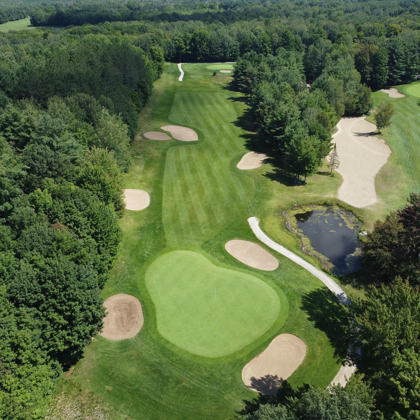 The course is in awesome shape 👍