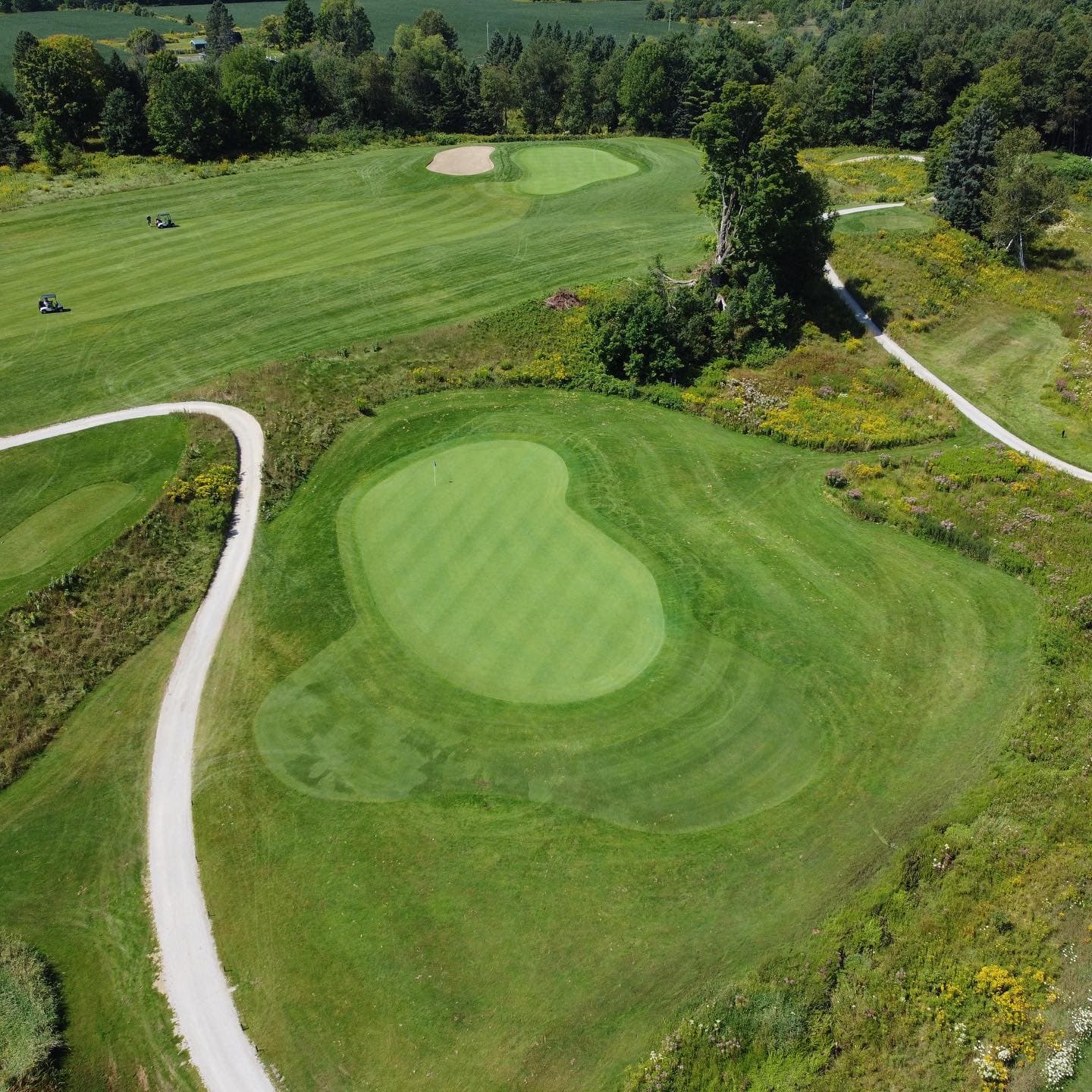 The course is in awesome shape 👍