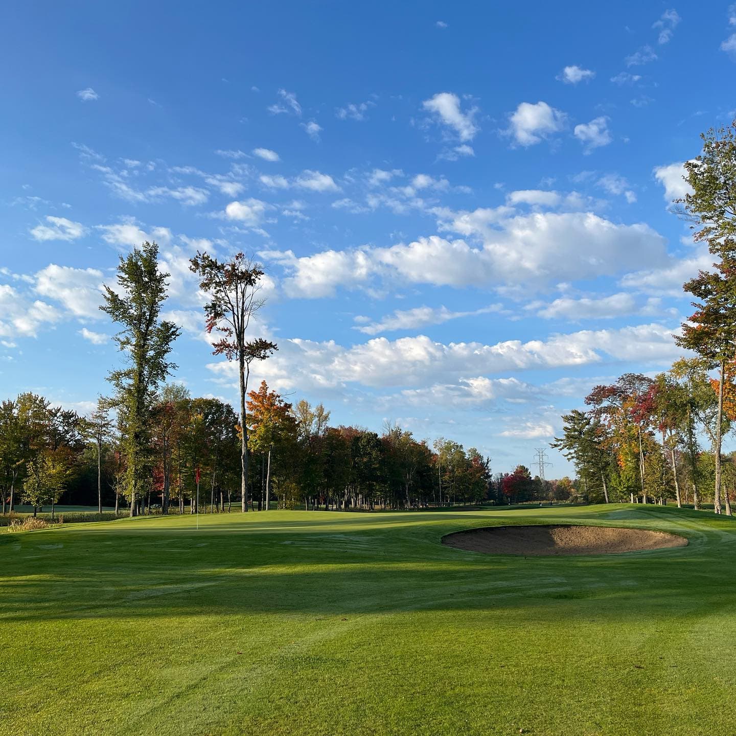 Ready for #LSGClubChampionship Sunday 🏆🏆