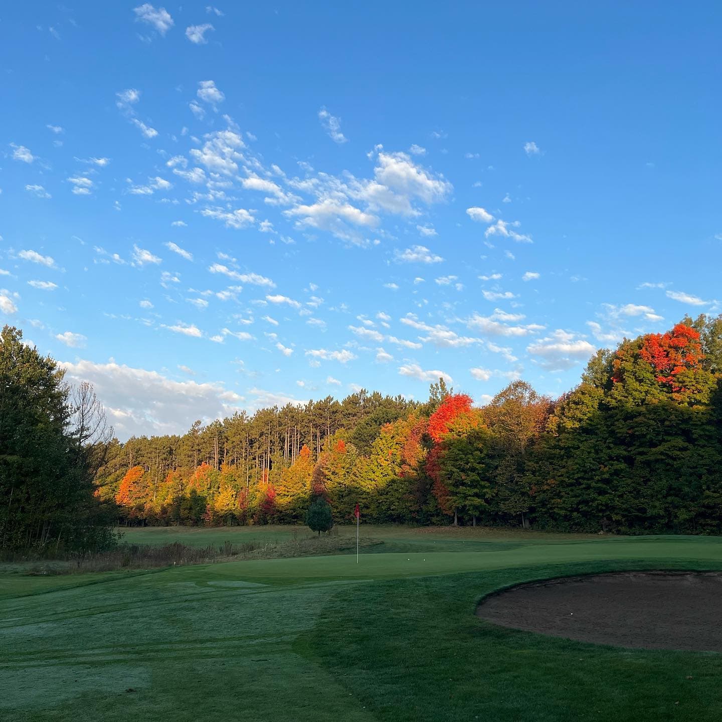Ready for #LSGClubChampionship Sunday 🏆🏆