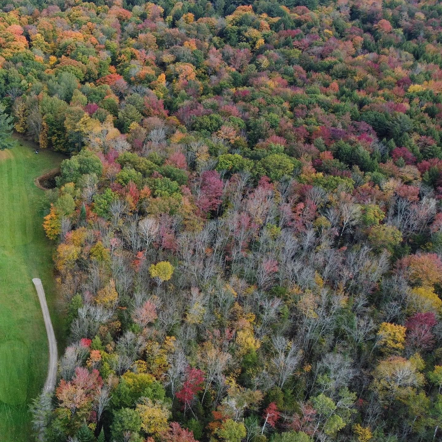 Ended up being a perfect Friday afternoon #FallGolf #PlayTheLake
