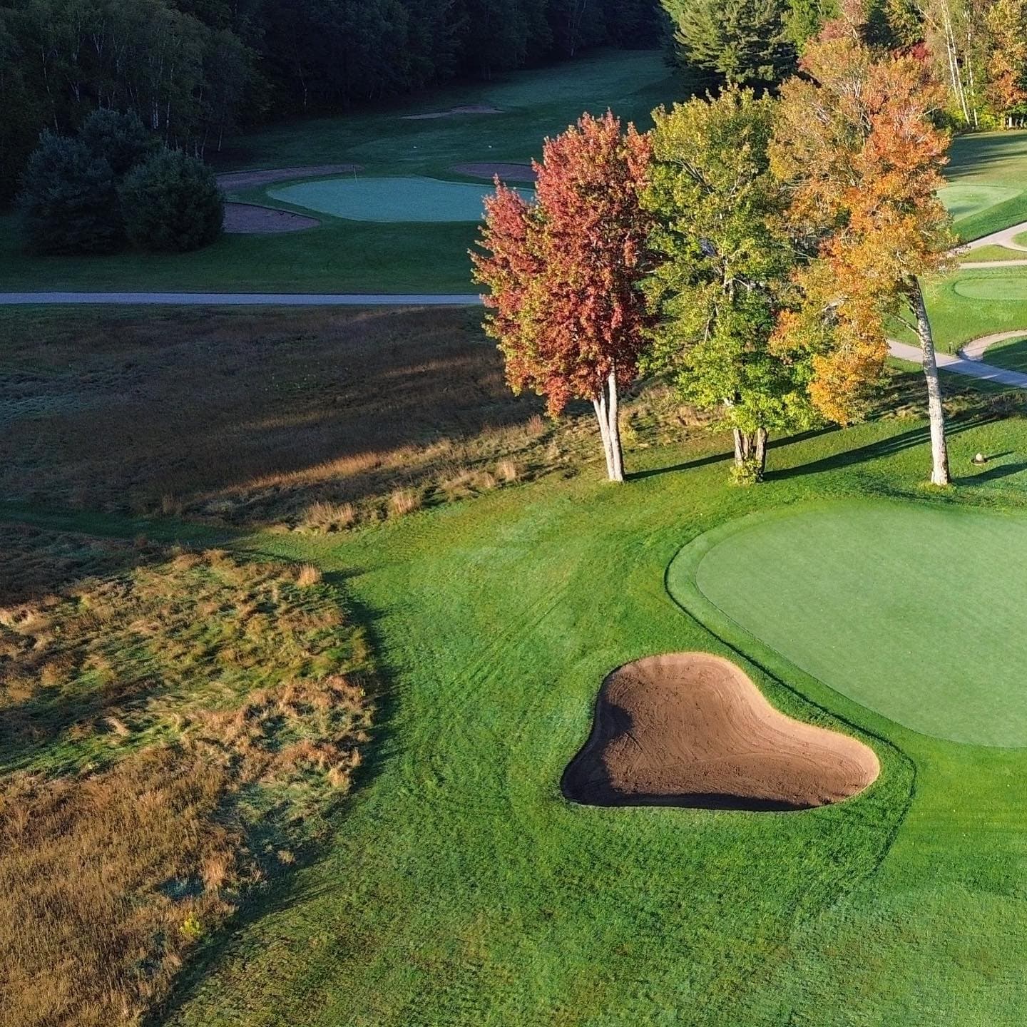 Starting to see some colour 👌#FallGolf