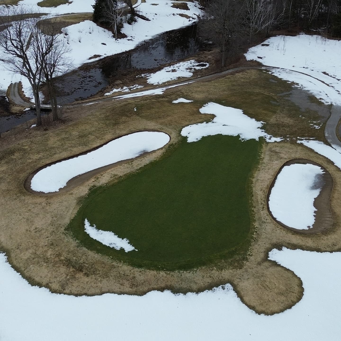 The greens are looking amazing 🔥🔥🔥