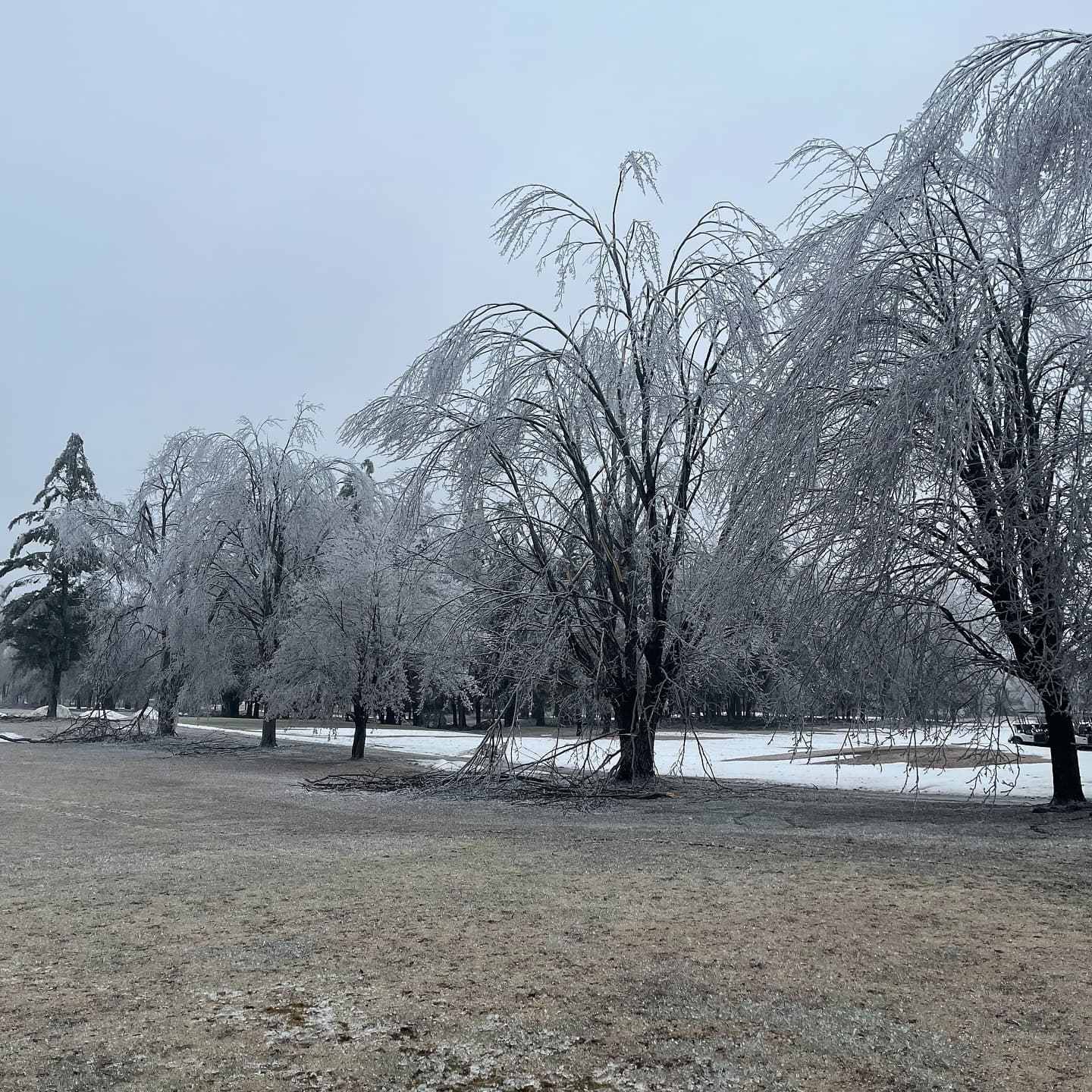 What a week! We received significant tree damage on the course, especially around the clubhouse and the north course.

Outside of trees the course was not damaged, and the greens are still looking great 👌

We’re happy to report that everyone’s favourite trees on 6 north and 9 south received no damage from the storm 😉

As we wait on power to be restored our crew is out cleaning up the damaged trees and getting the course ready for the season!