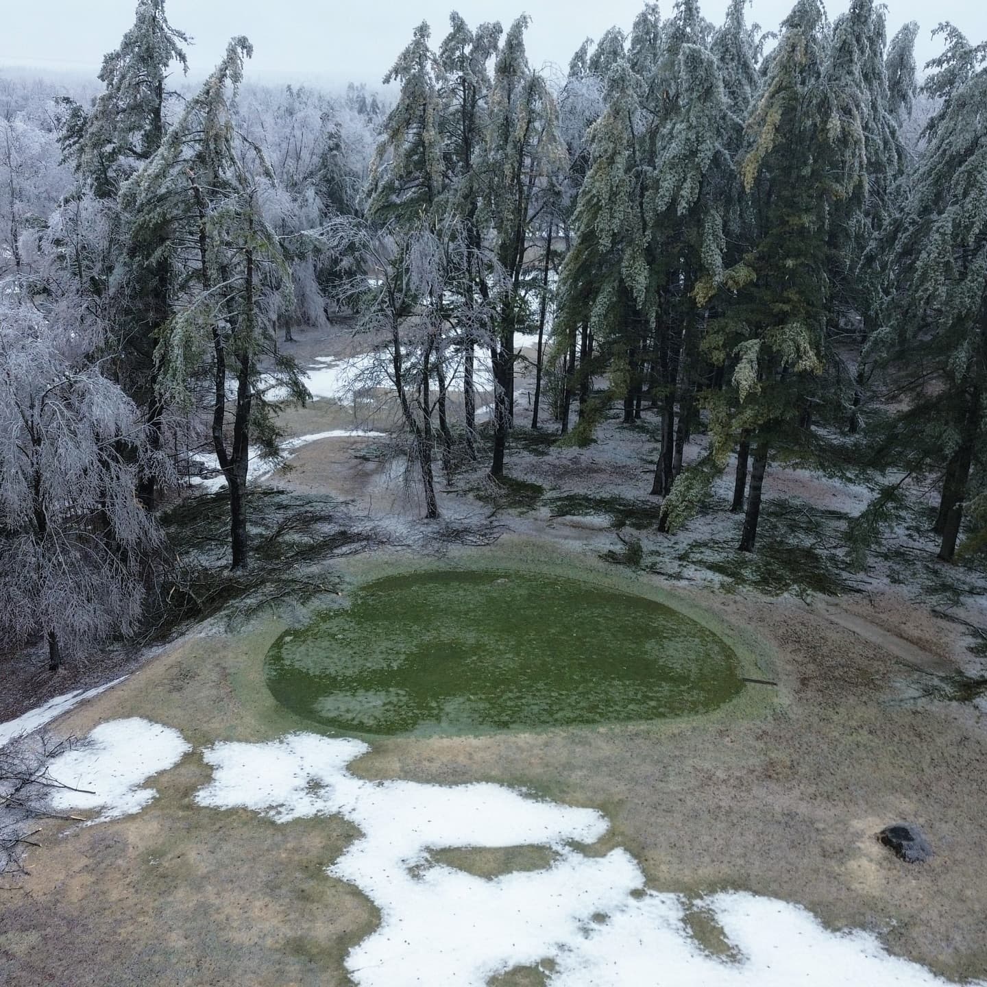 What a week! We received significant tree damage on the course, especially around the clubhouse and the north course.

Outside of trees the course was not damaged, and the greens are still looking great 👌

We’re happy to report that everyone’s favourite trees on 6 north and 9 south received no damage from the storm 😉

As we wait on power to be restored our crew is out cleaning up the damaged trees and getting the course ready for the season!