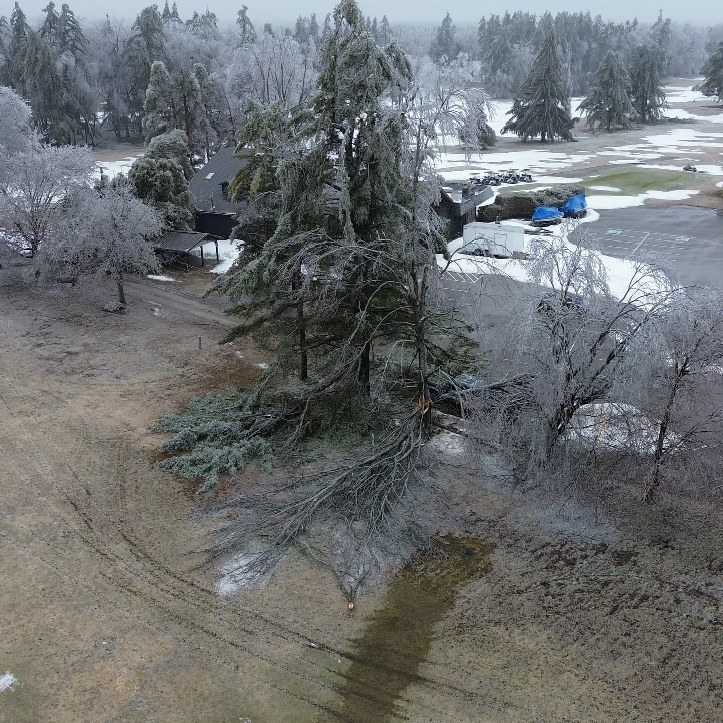 What a week! We received significant tree damage on the course, especially around the clubhouse and the north course.

Outside of trees the course was not damaged, and the greens are still looking great 👌

We’re happy to report that everyone’s favourite trees on 6 north and 9 south received no damage from the storm 😉

As we wait on power to be restored our crew is out cleaning up the damaged trees and getting the course ready for the season!