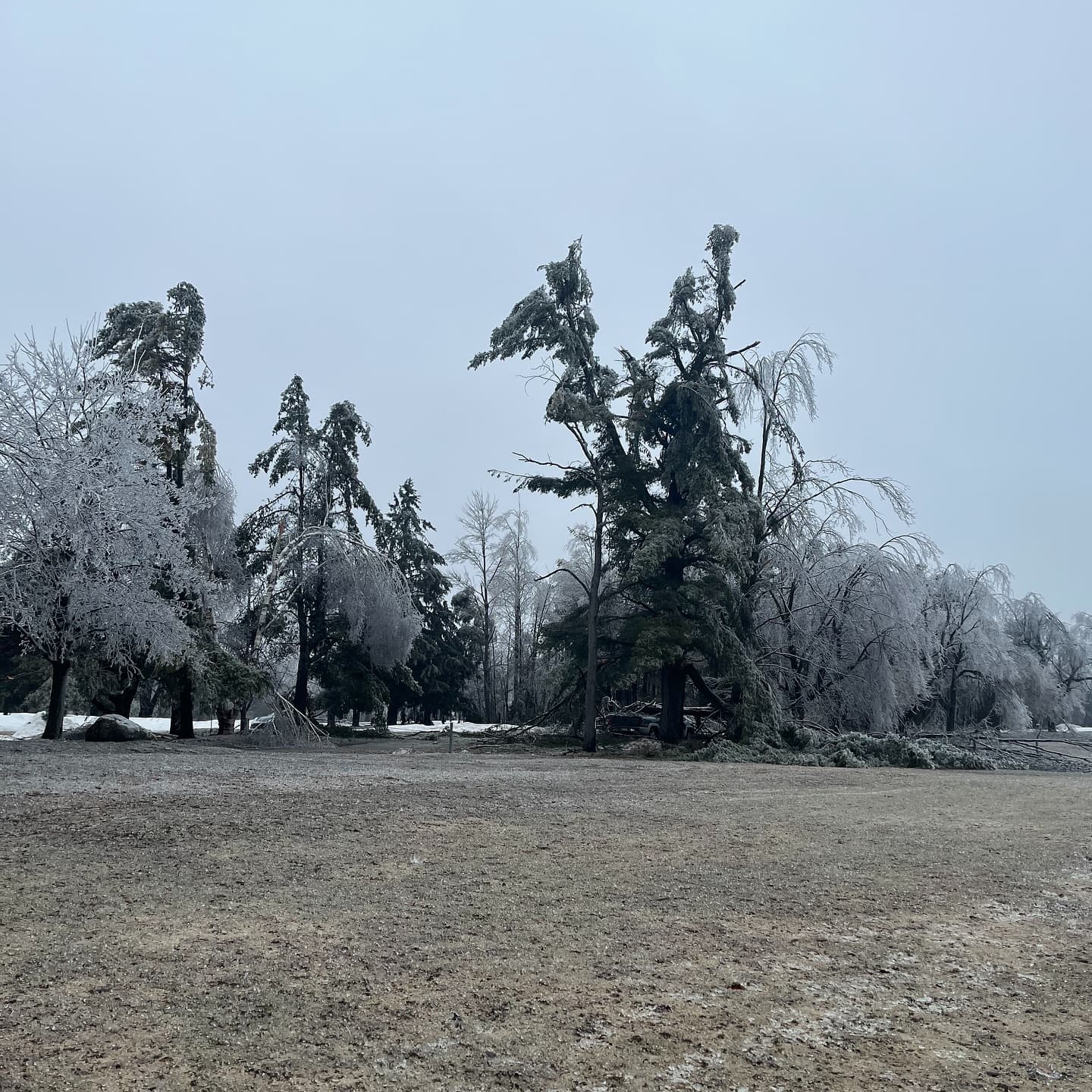 What a week! We received significant tree damage on the course, especially around the clubhouse and the north course.

Outside of trees the course was not damaged, and the greens are still looking great 👌

We’re happy to report that everyone’s favourite trees on 6 north and 9 south received no damage from the storm 😉

As we wait on power to be restored our crew is out cleaning up the damaged trees and getting the course ready for the season!
