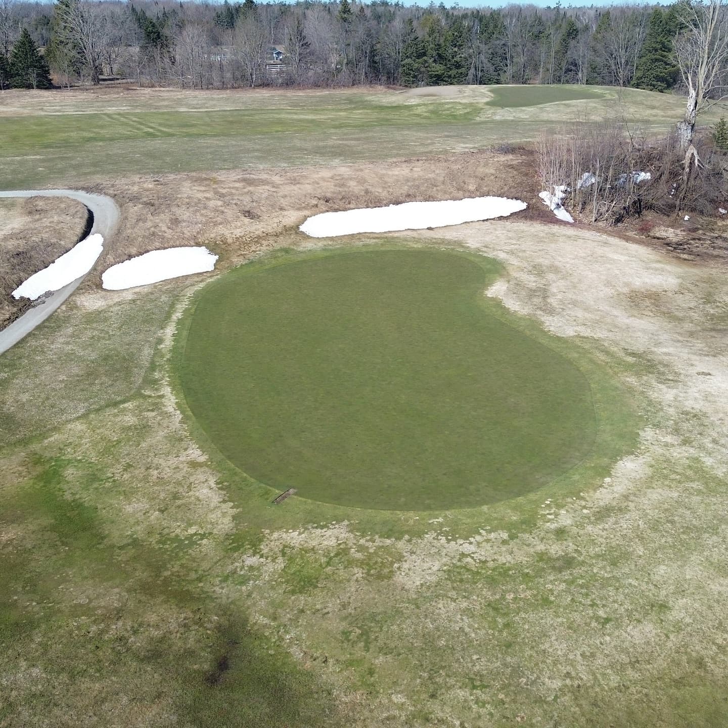 The greens made it through the ice storm 🔥

Stay tuned for opening day announcement!