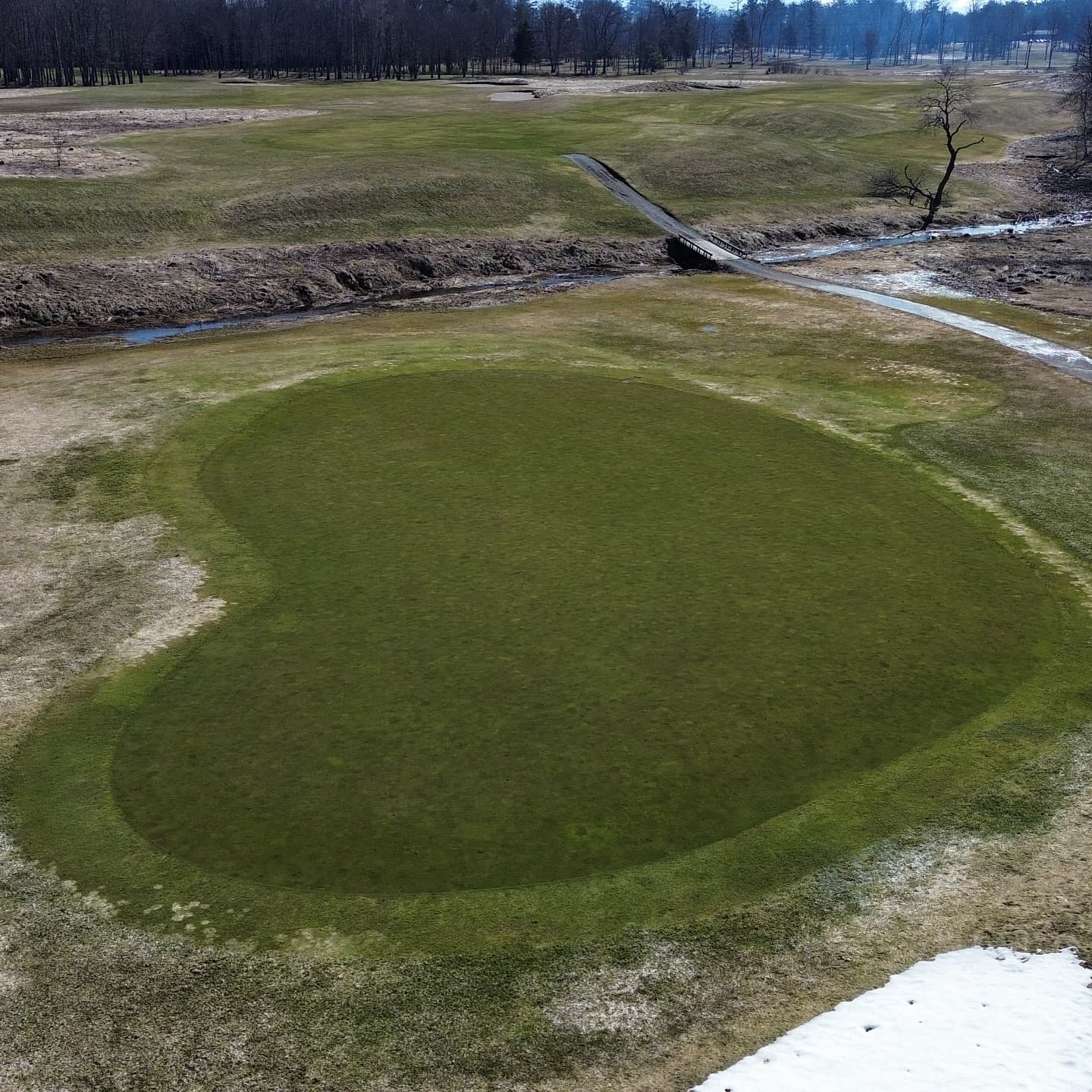The greens made it through the ice storm 🔥

Stay tuned for opening day announcement!