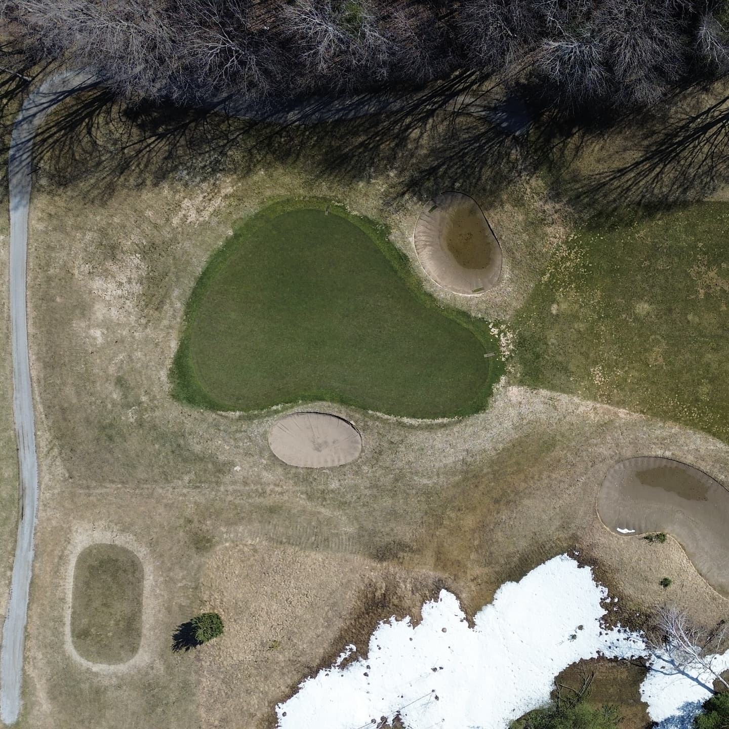 The greens made it through the ice storm 🔥

Stay tuned for opening day announcement!