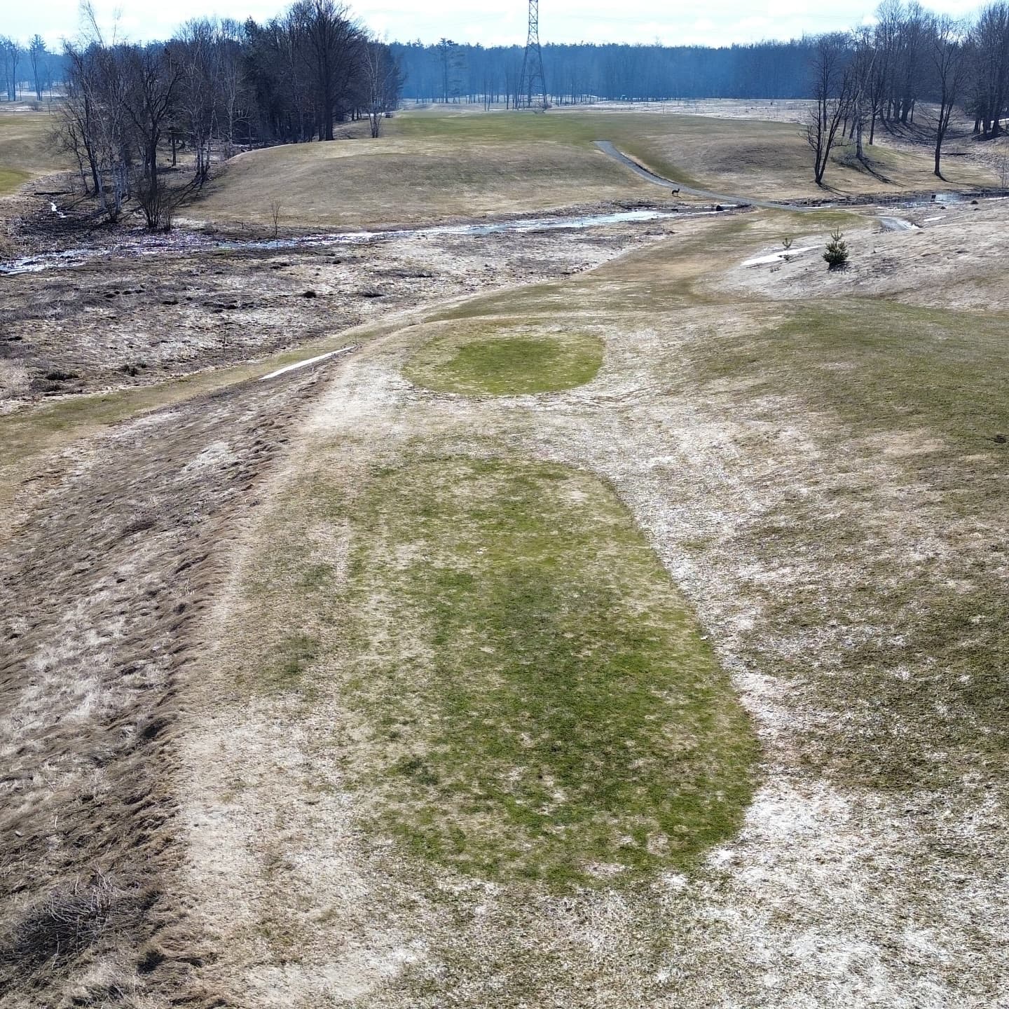The greens made it through the ice storm 🔥

Stay tuned for opening day announcement!