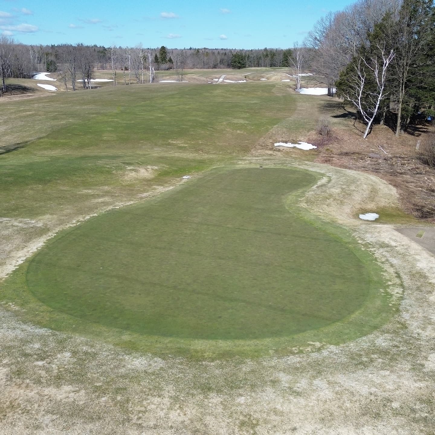 The greens made it through the ice storm 🔥

Stay tuned for opening day announcement!