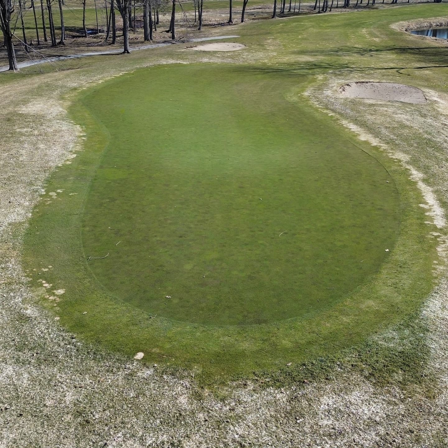 The greens made it through the ice storm 🔥

Stay tuned for opening day announcement!