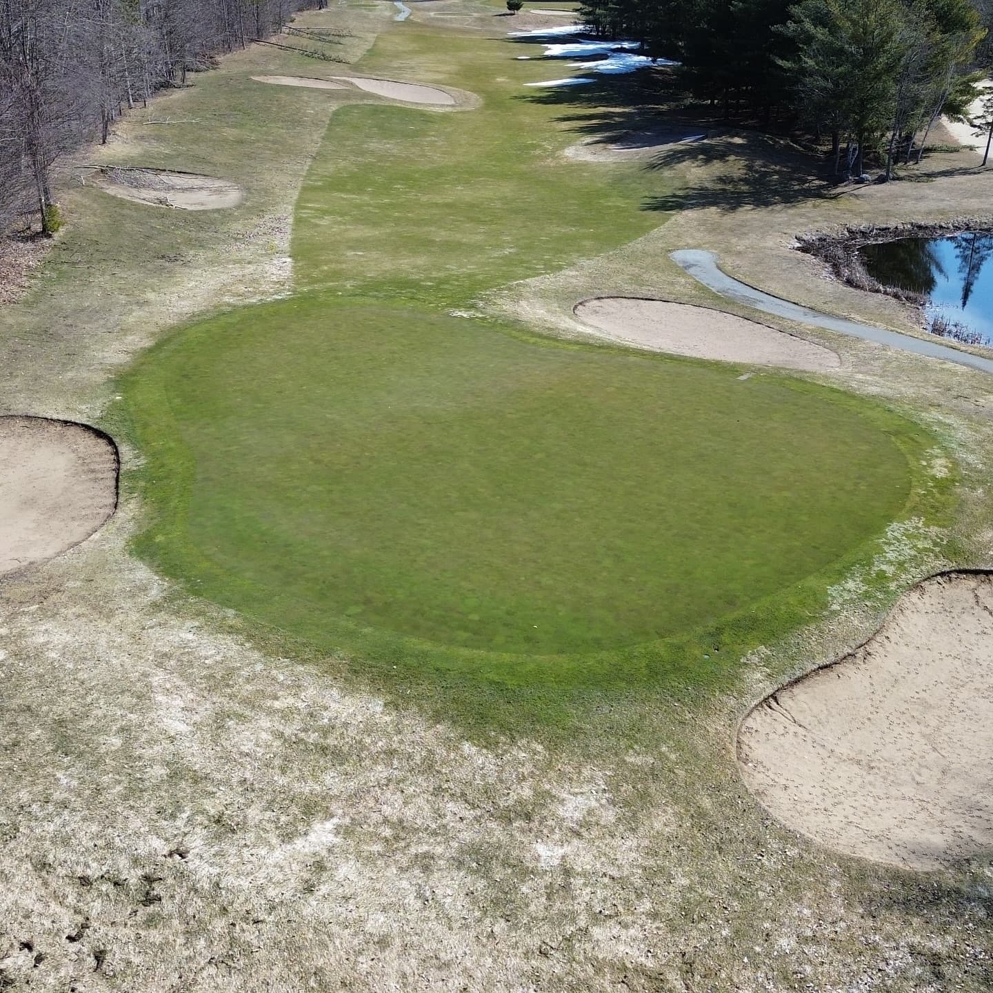 The greens made it through the ice storm 🔥

Stay tuned for opening day announcement!