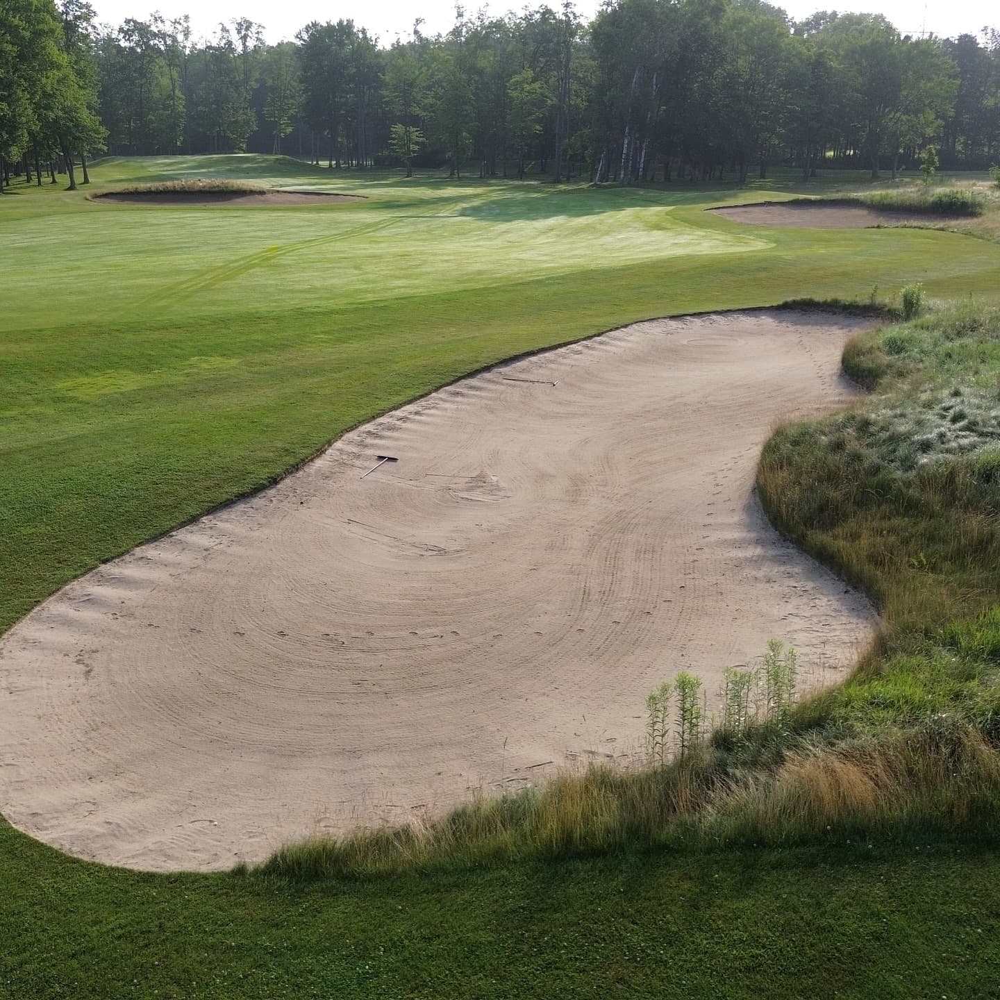 A perfect morning on the south course 👌