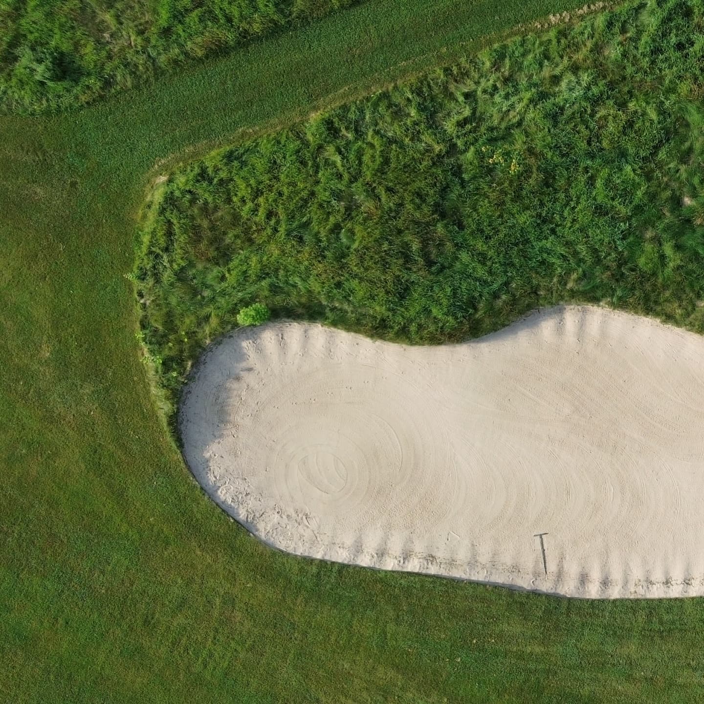 A perfect morning on the south course 👌