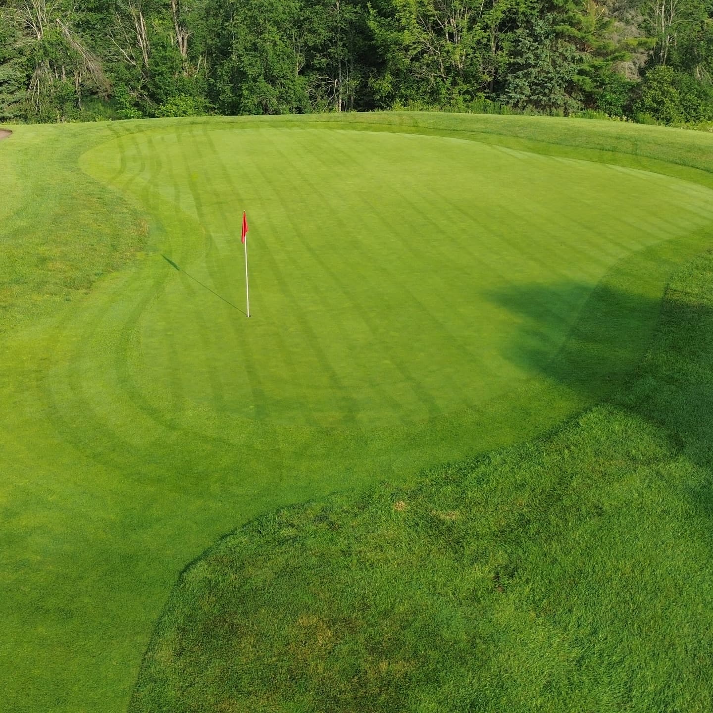 A perfect morning on the south course 👌