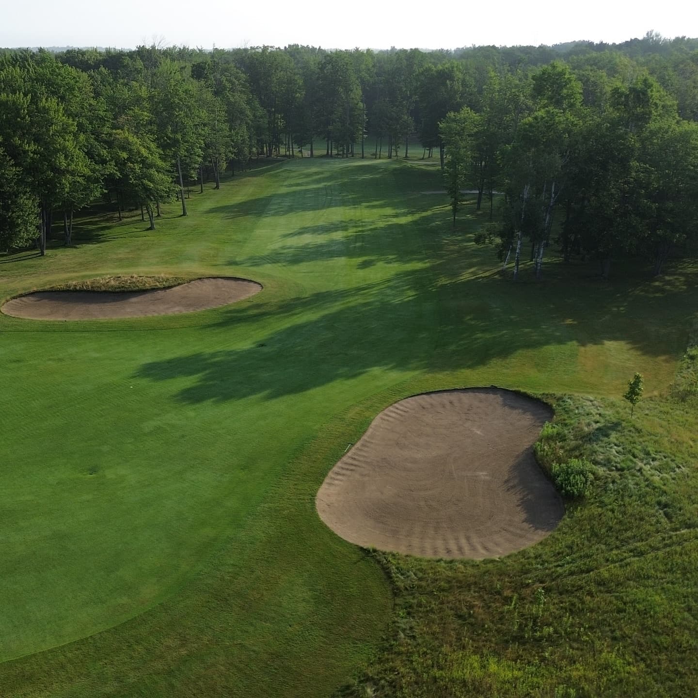 A perfect morning on the south course 👌