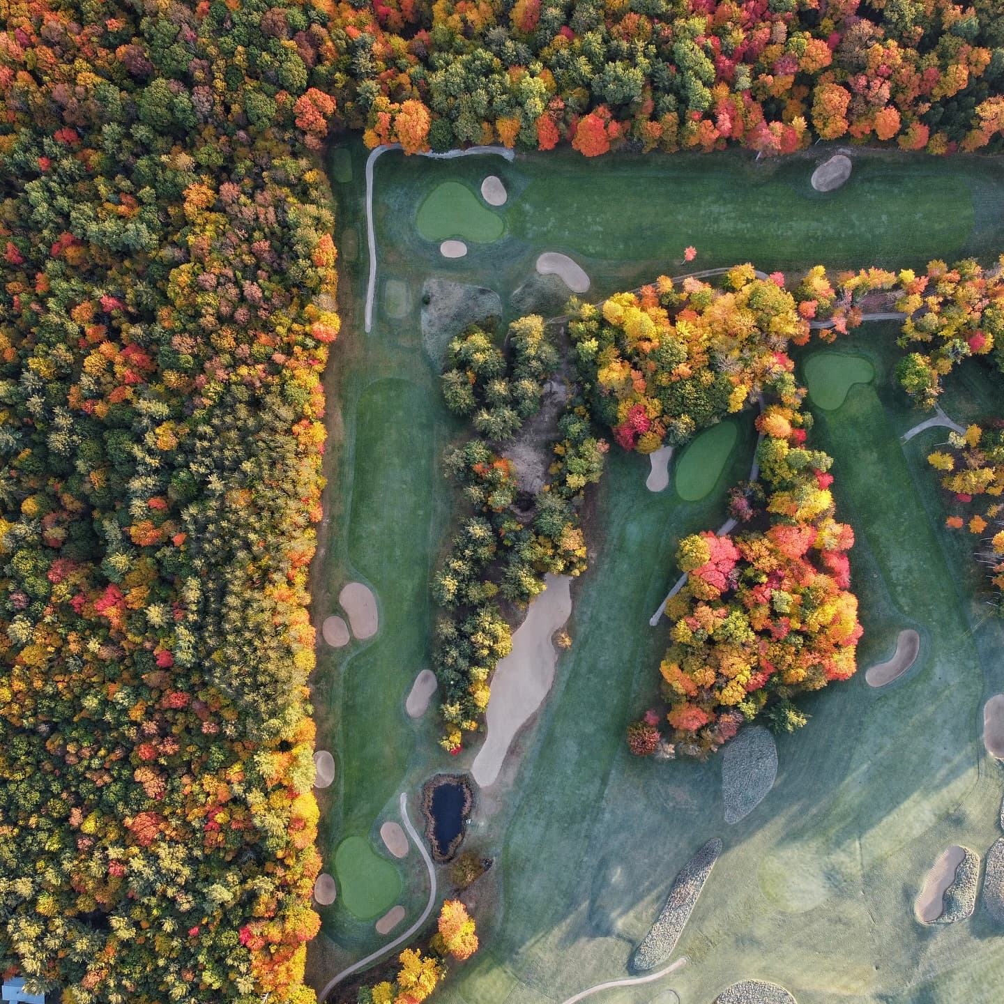 It’s September 1st which means #FallGolf is almost here 😍