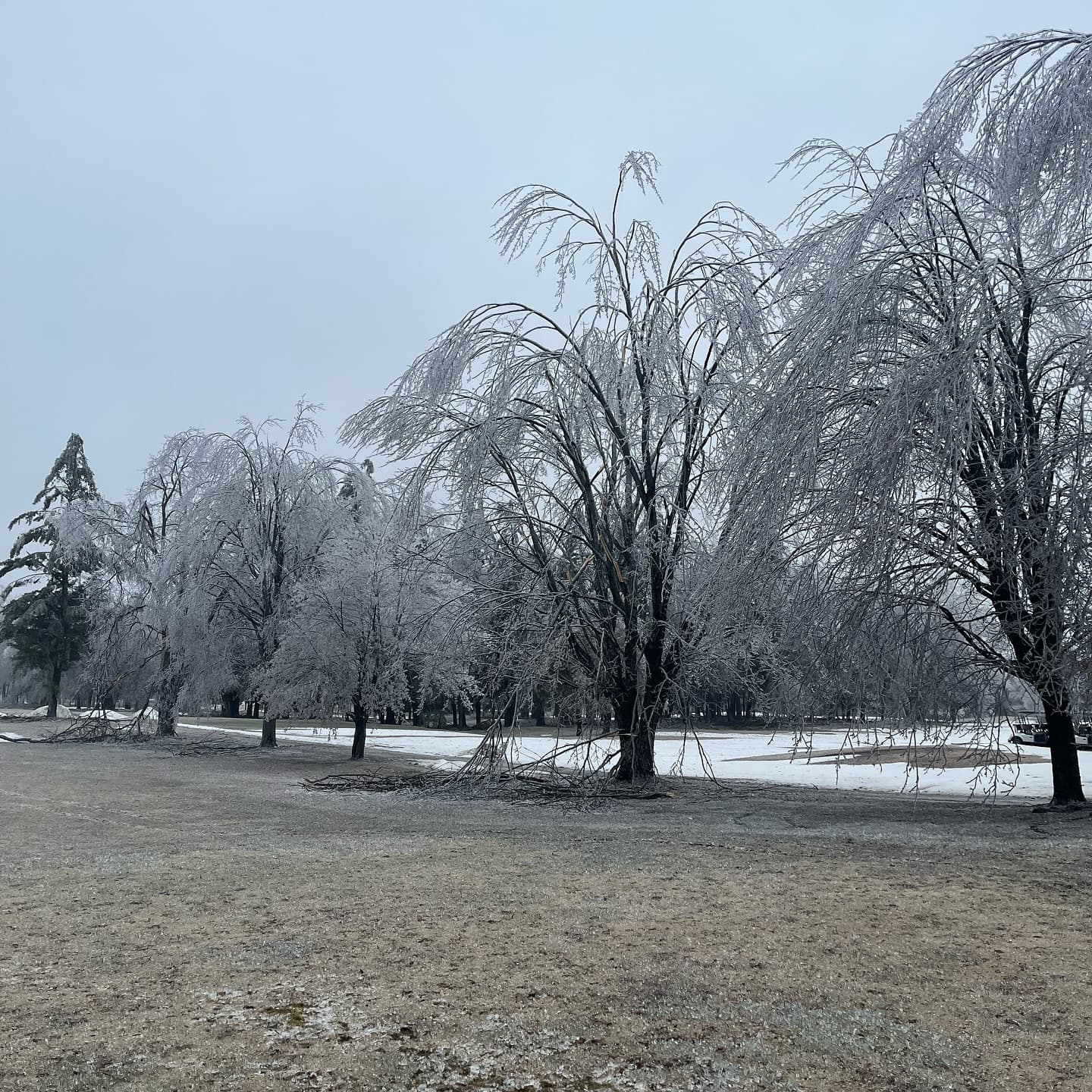 Ice storm to drought - another amazing season at LSG👌

Thanks to everyone for the support! #PlayTheLake