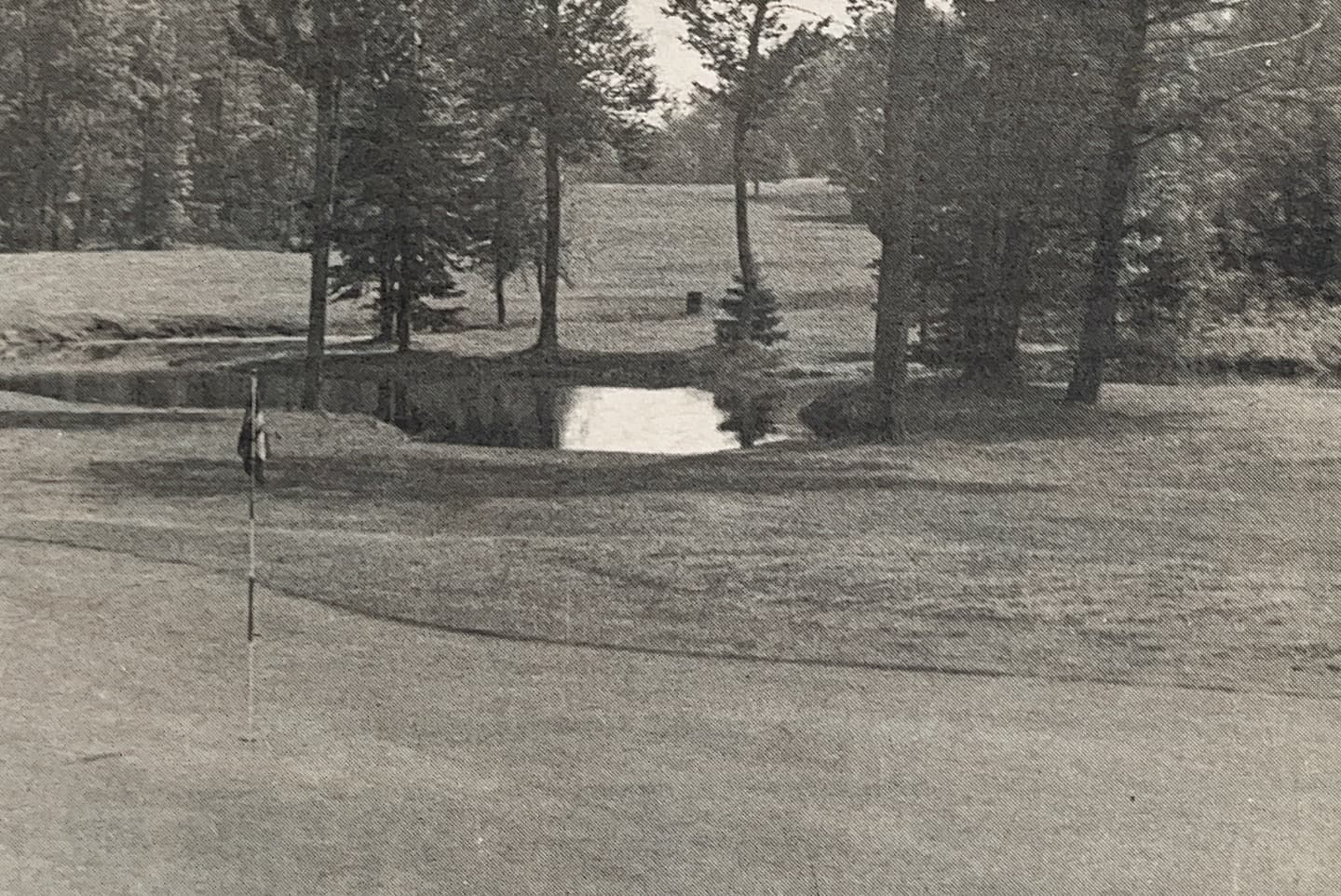 The approach to 1 south was originally blocked out by trees. Most of the trees were cleared out in the early 1980s. 

The first photo shows the approach in the 1975. The second is shortly after clearing out most of the trees in the 1980s! 

#PlayTheLake