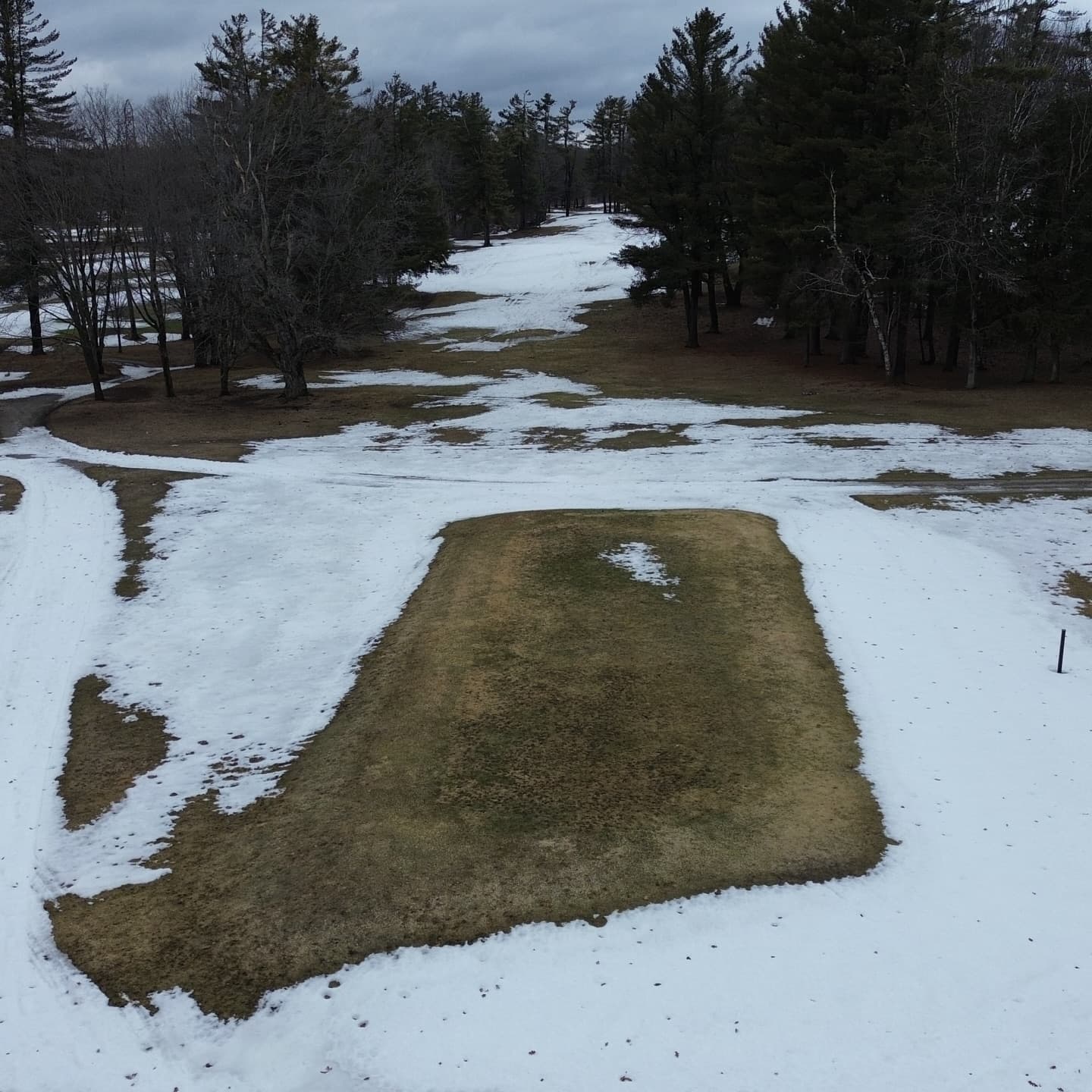 Greens are looking awesome after a long winter 🙏