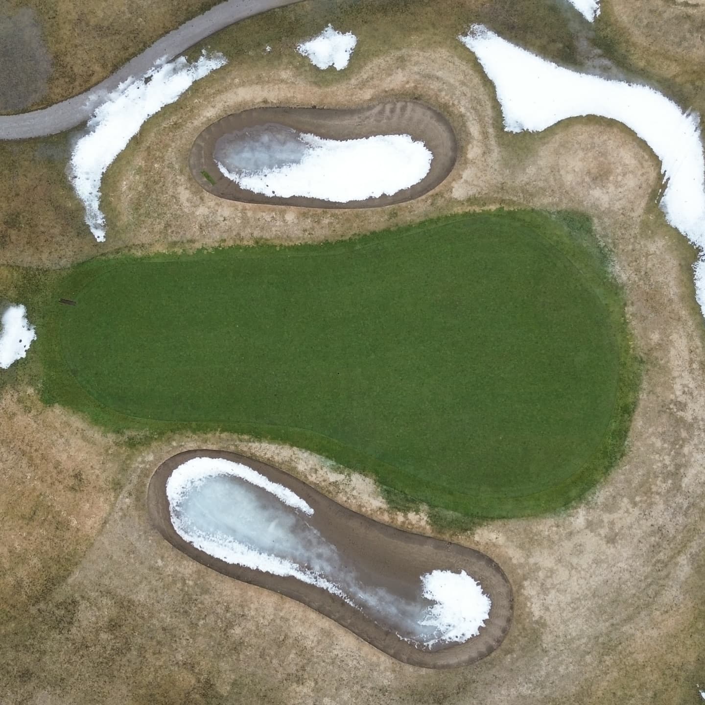 Greens are looking awesome after a long winter 🙏