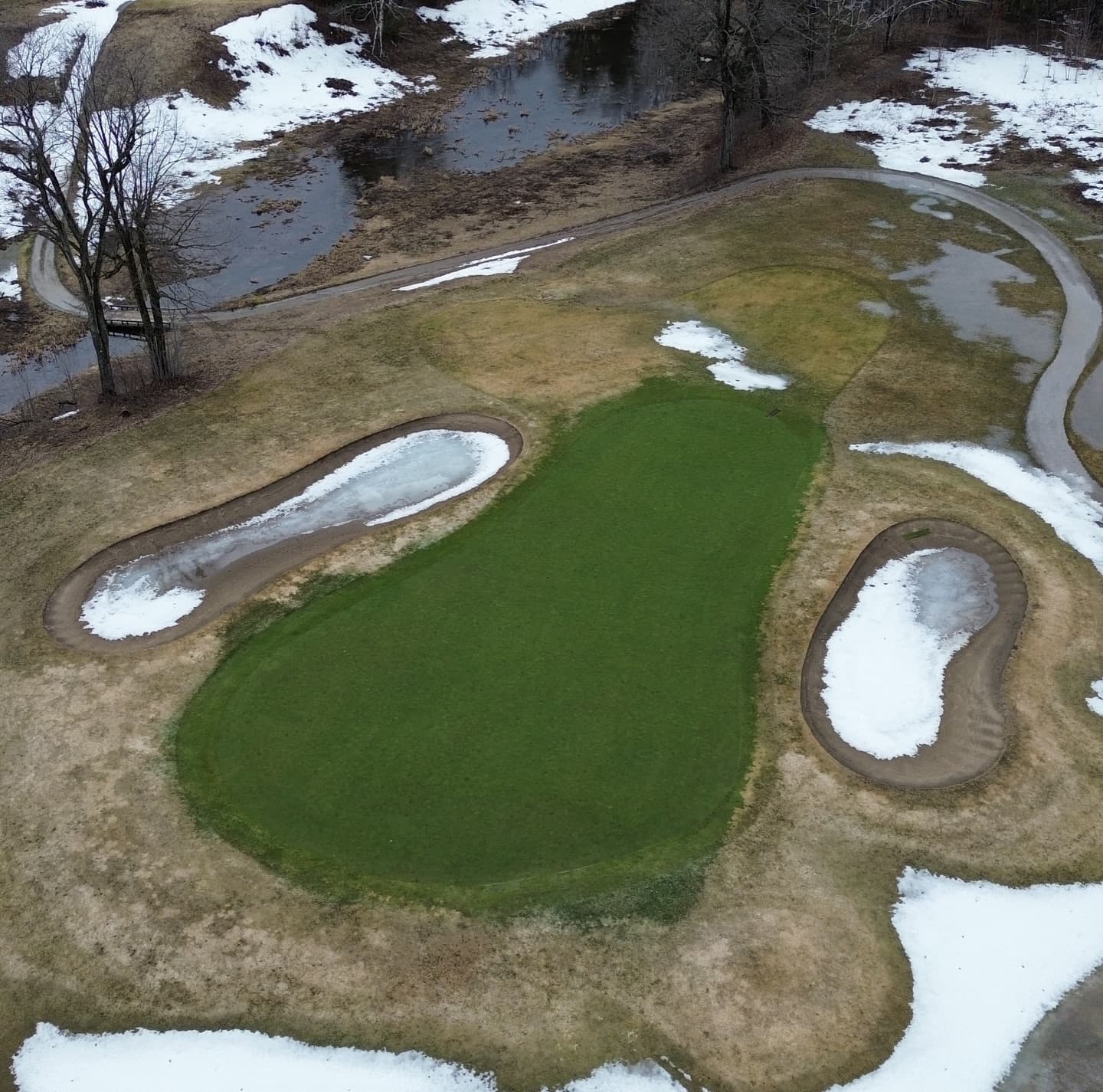 Greens are looking awesome after a long winter 🙏