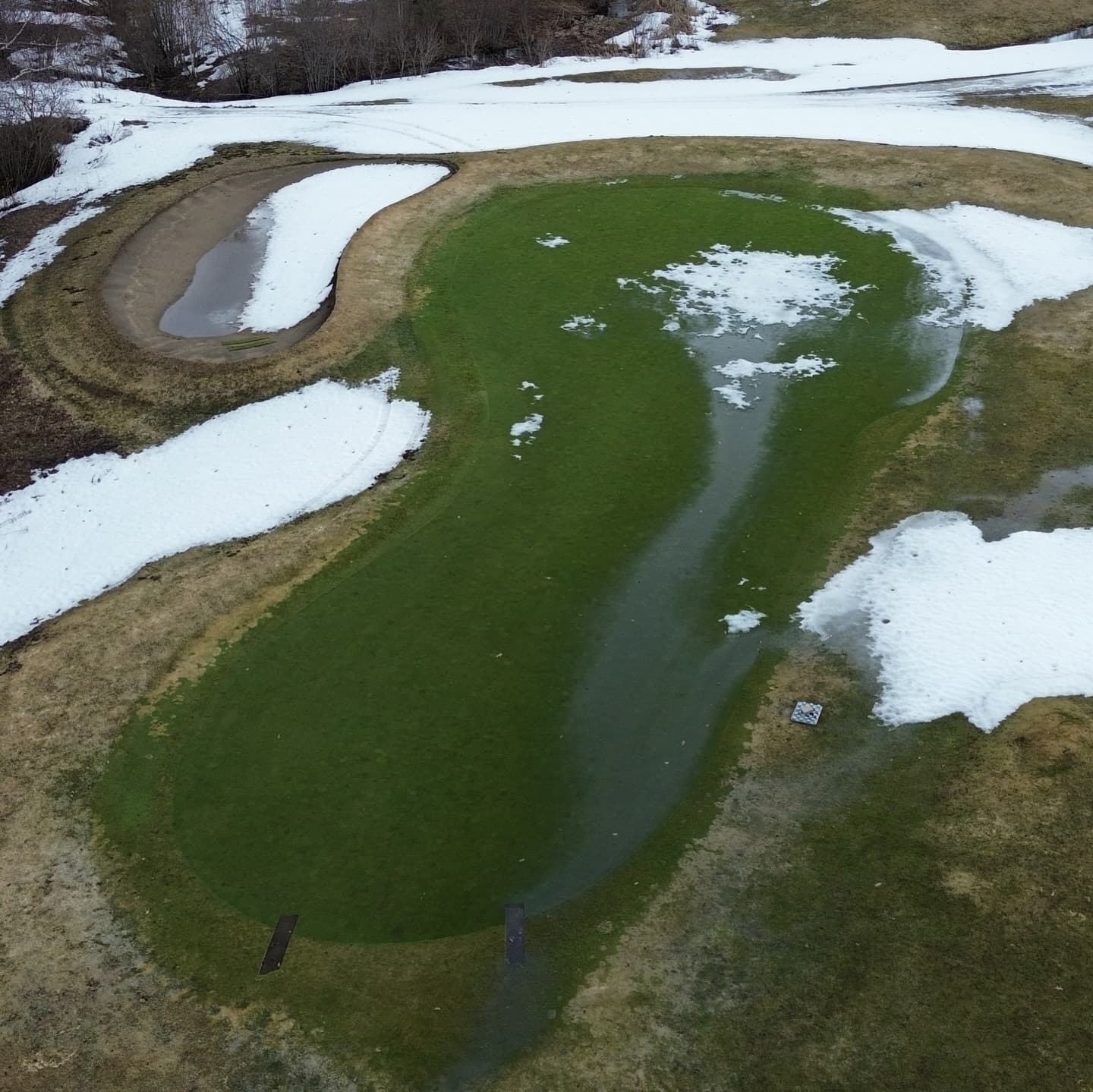 Greens are looking awesome after a long winter 🙏