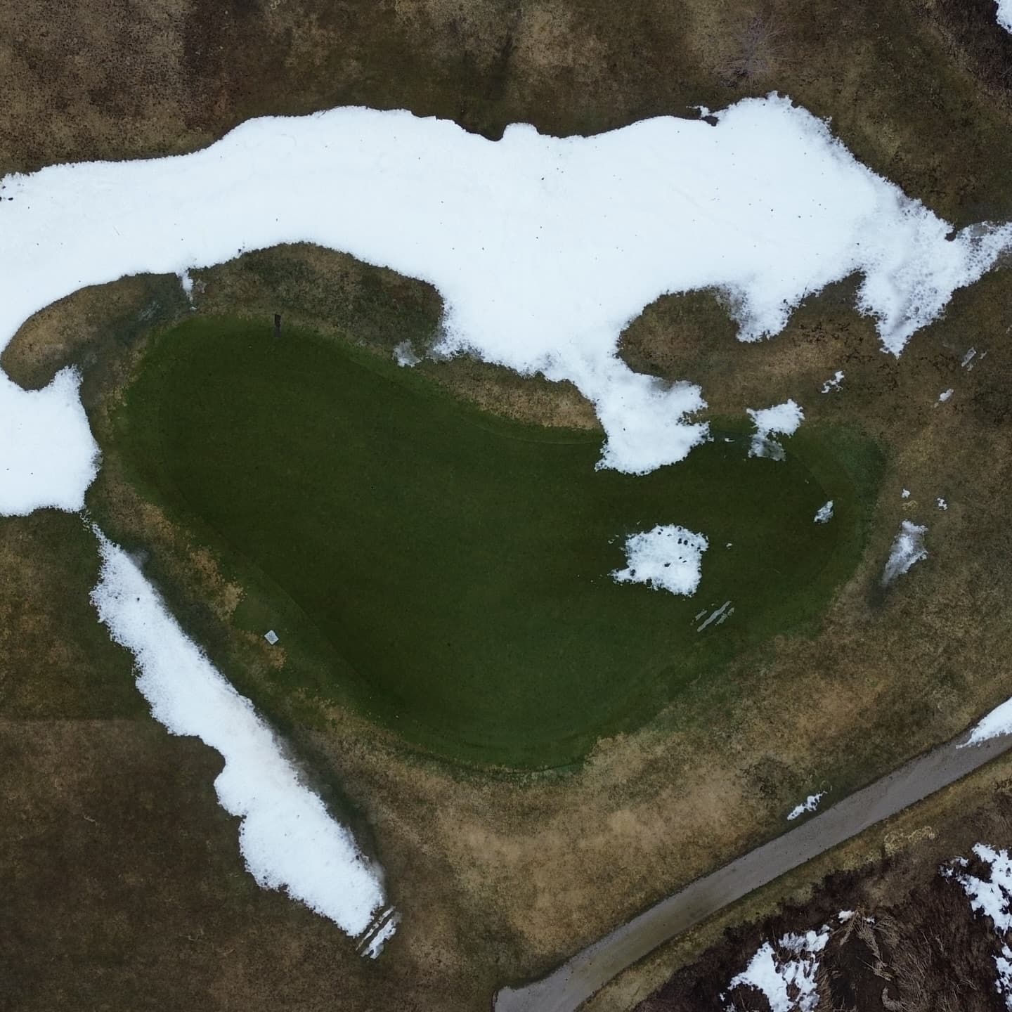 Greens are looking awesome after a long winter 🙏