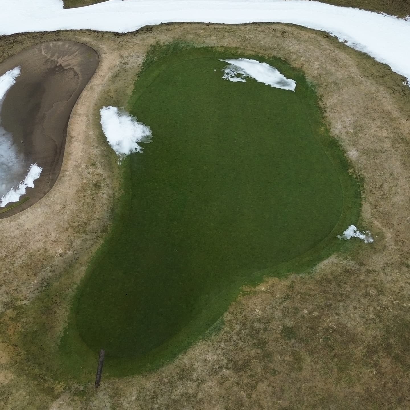 Greens are looking awesome after a long winter 🙏
