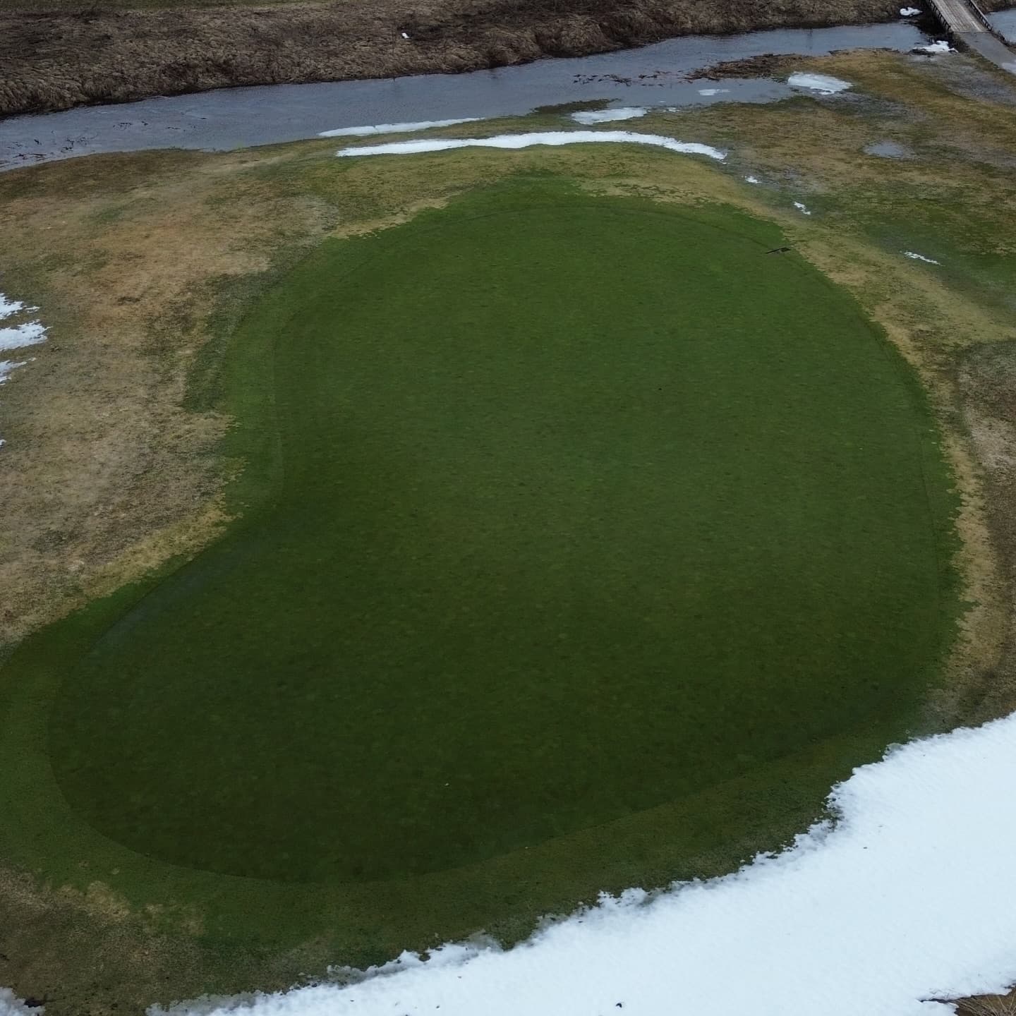 Greens are looking awesome after a long winter 🙏