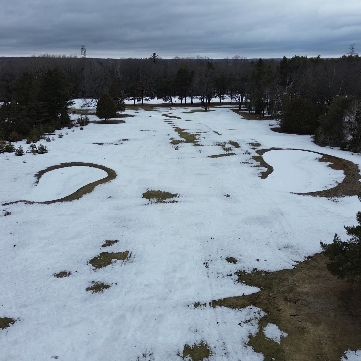 Greens are looking awesome after a long winter 🙏
