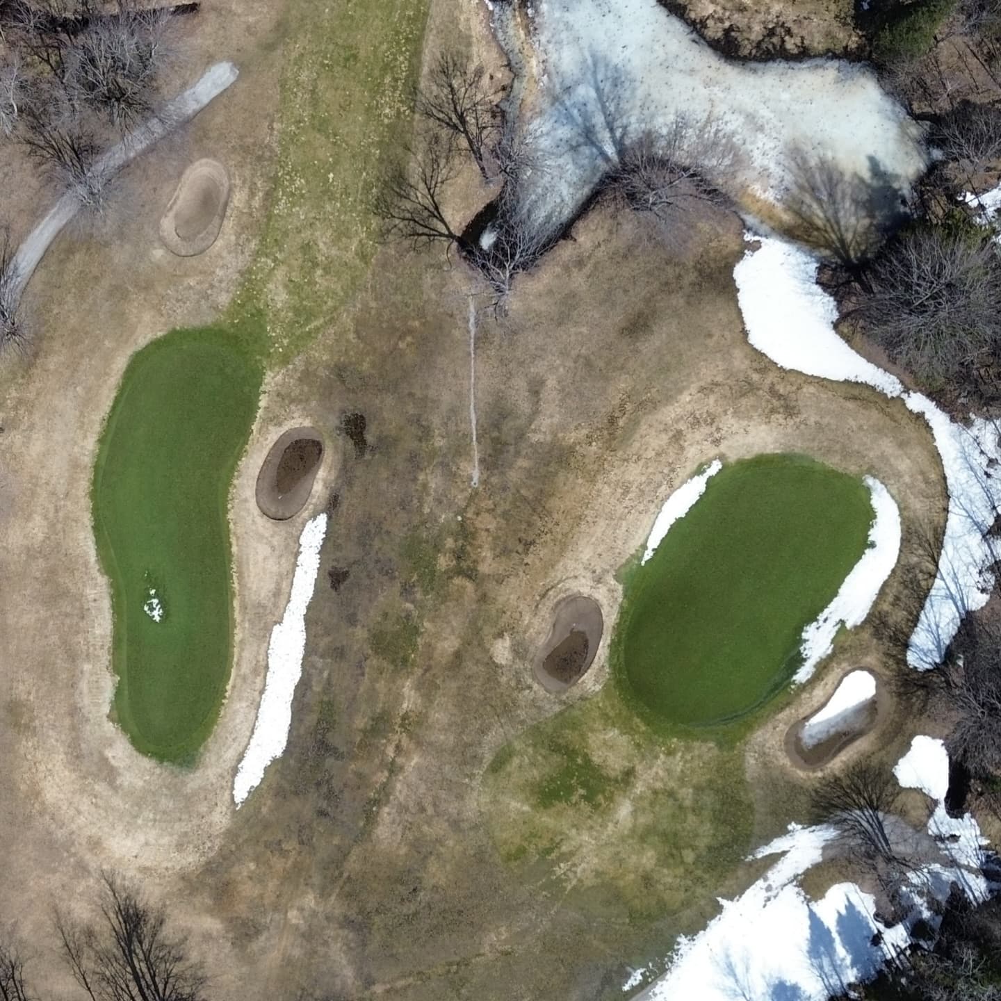 Happy Masters Saturday! The course is starting to dry out. Greens are looking amazing 🔥

Golf season is coming!!