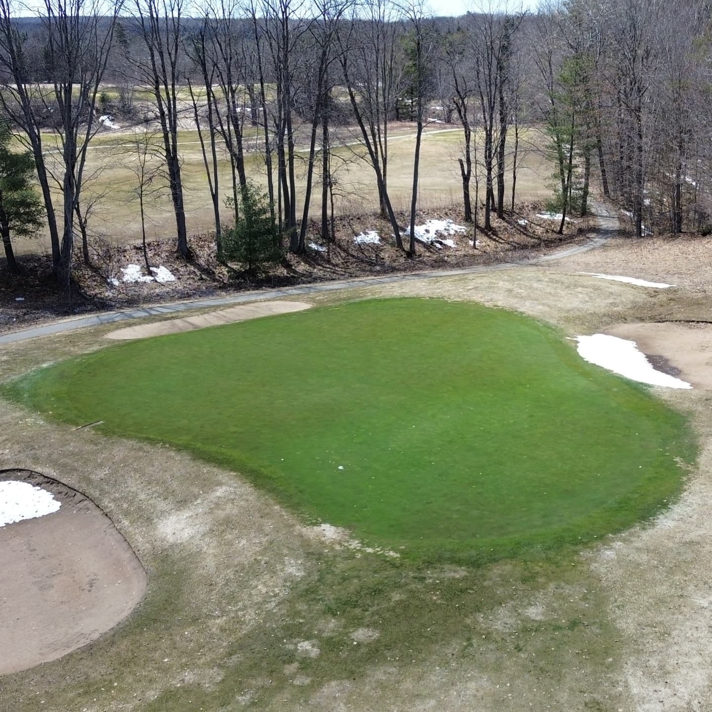 Happy Masters Saturday! The course is starting to dry out. Greens are looking amazing 🔥

Golf season is coming!!