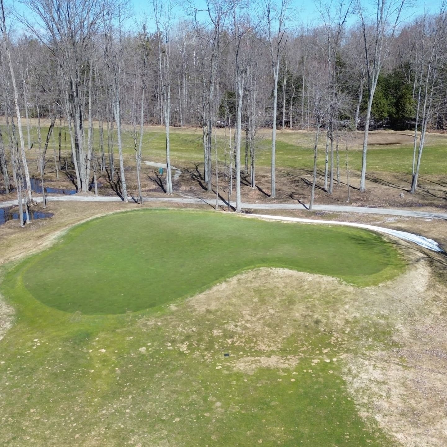 Happy Masters Saturday! The course is starting to dry out. Greens are looking amazing 🔥

Golf season is coming!!
