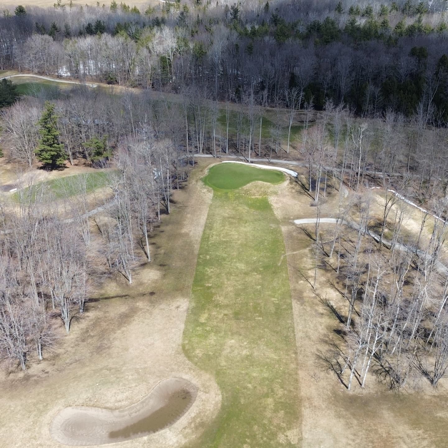 Happy Masters Saturday! The course is starting to dry out. Greens are looking amazing 🔥

Golf season is coming!!