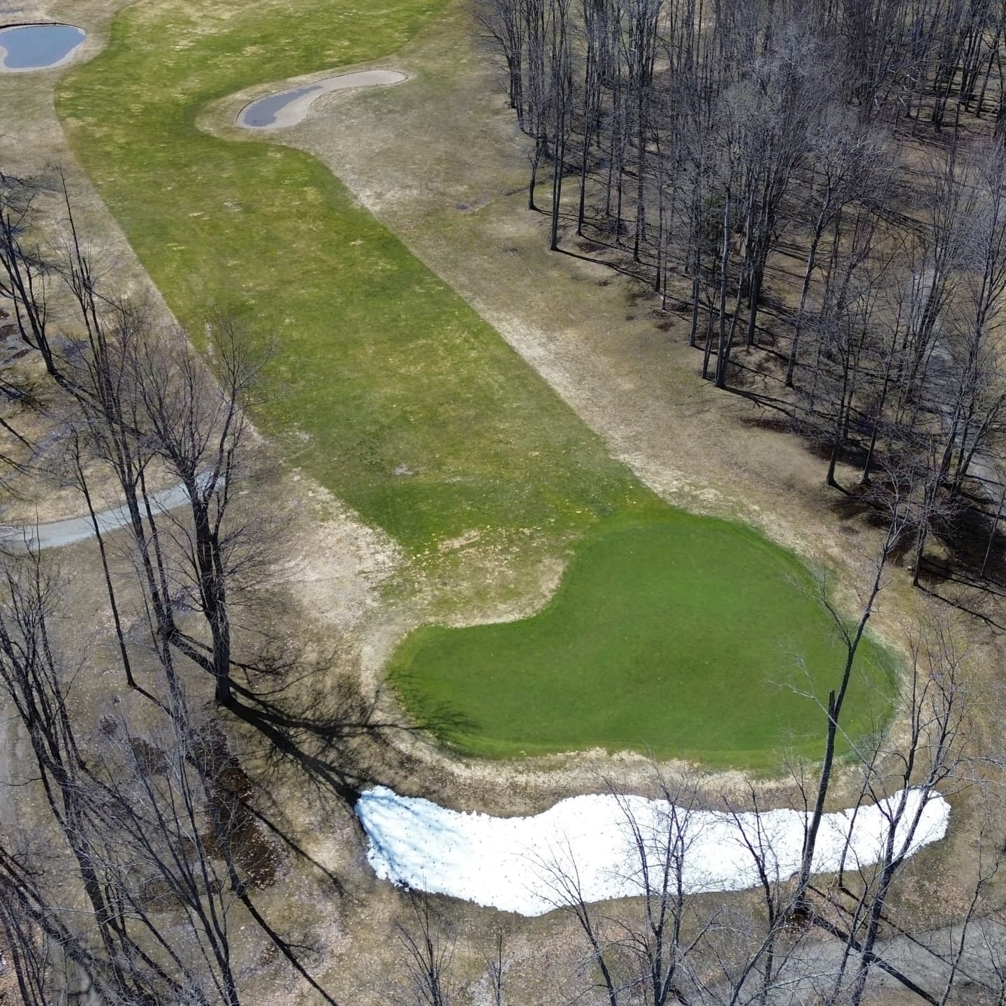 Happy Masters Saturday! The course is starting to dry out. Greens are looking amazing 🔥

Golf season is coming!!