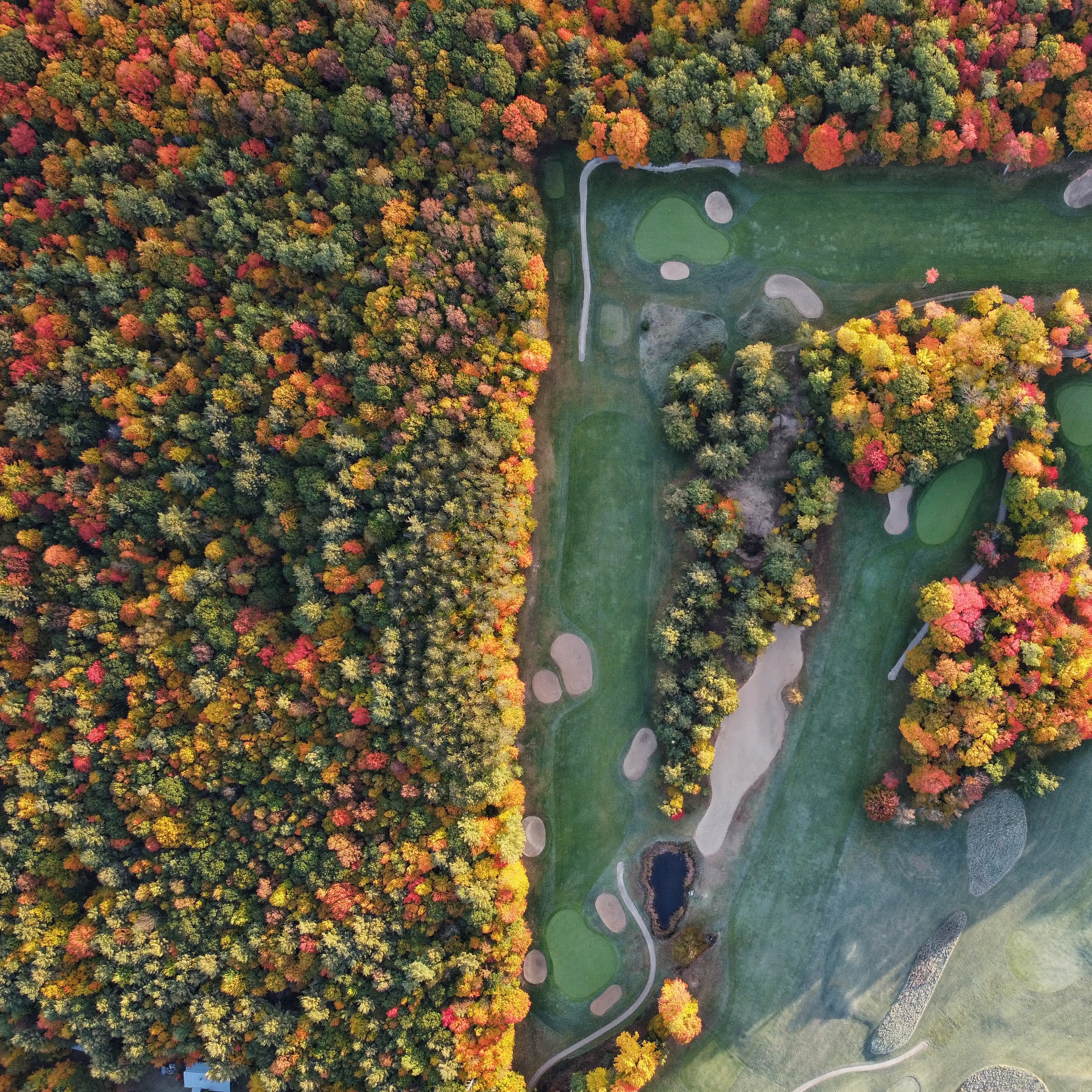 Fall golf is almost here 🔥