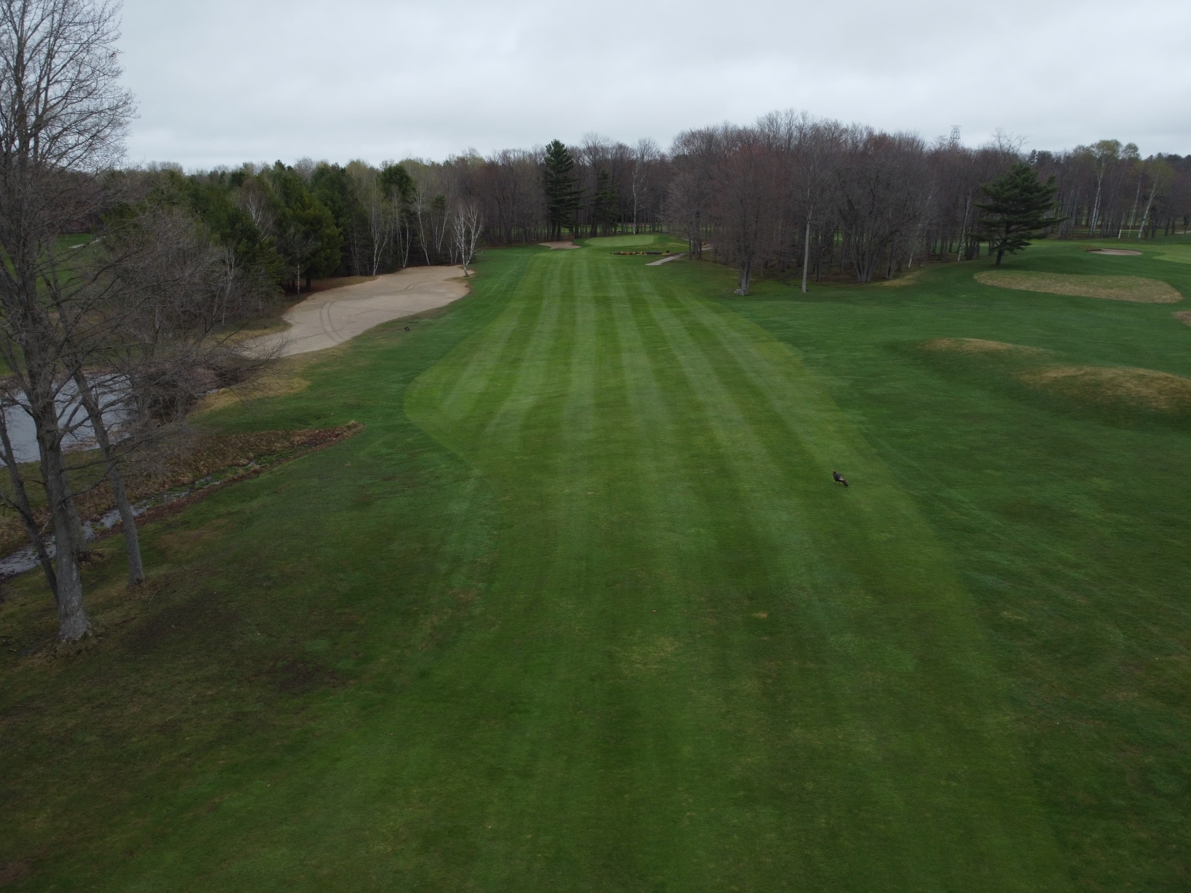 Drone image of Lake St. George