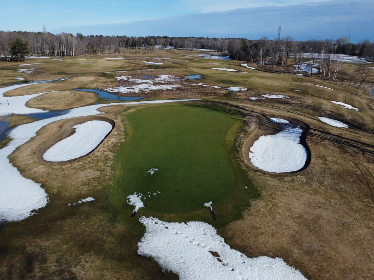 Greens are looking good after a long winter 🔥 https://t.co/MoqpcDsTZy