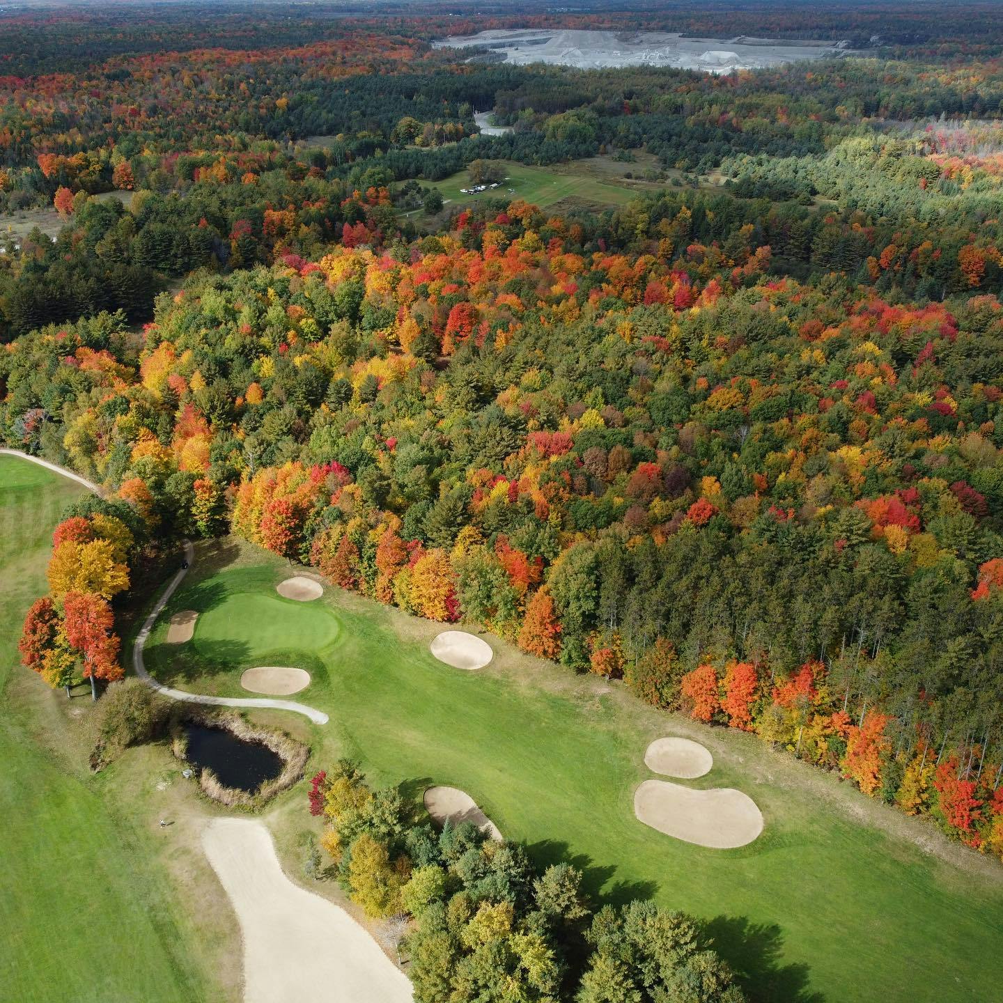 The colours are fully out for thanksgiving weekend 👌 #FallGolf